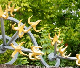 DSC_1565_DxO